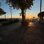 Elli